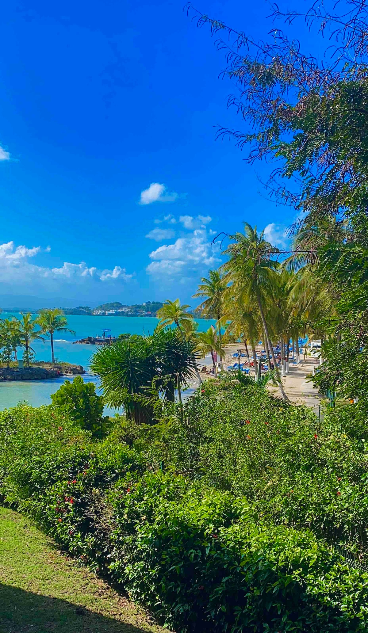 A coastal view features clear blue waters glistening under a bright sky. Palm trees line the sandy beach, with lush greenery in the foreground. The scene showcases a tranquil atmosphere, inviting relaxation and enjoyment of the natural surroundings.