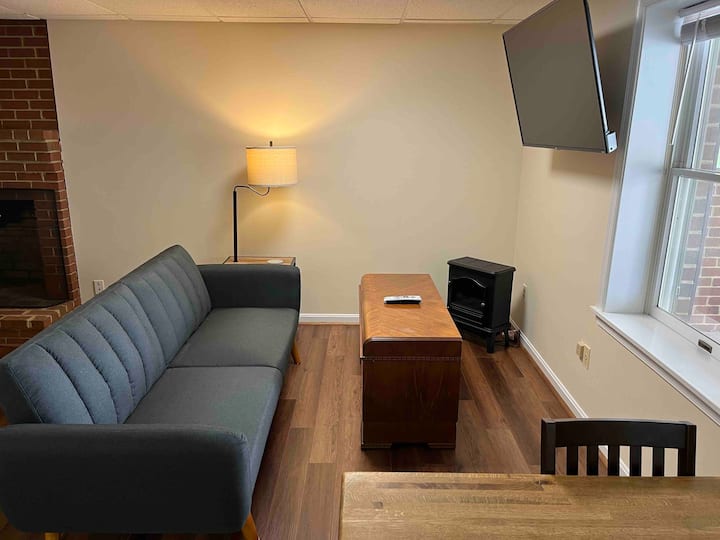 Living room with twin pull-out sofa.