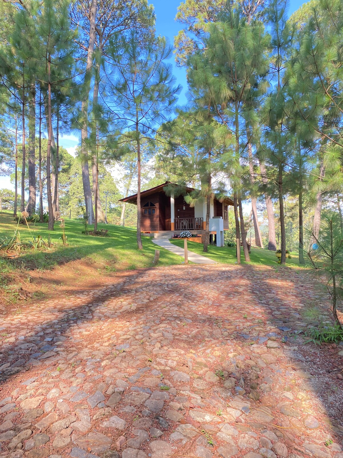 The cabin is nestled among tall pine trees, framed by a winding cobblestone path leading to its entrance. Natural light filters through the trees, enhancing the serene, wooded surroundings and inviting a sense of tranquility.