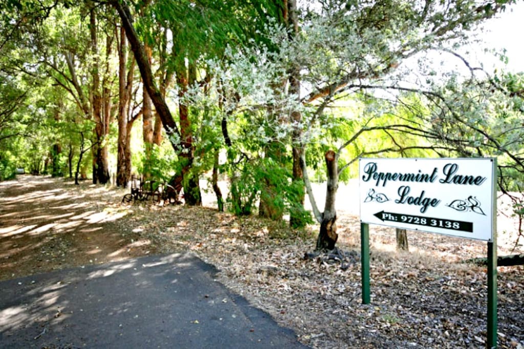 Entrance to the property.