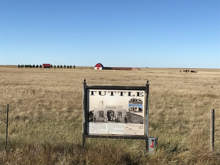 Top 10 PetFriendly Airbnbs In Colorado, USA Updated 2024 Trip101