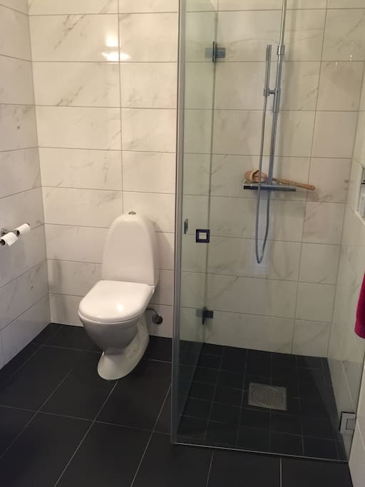 Dusch och ytterligare toalett separat