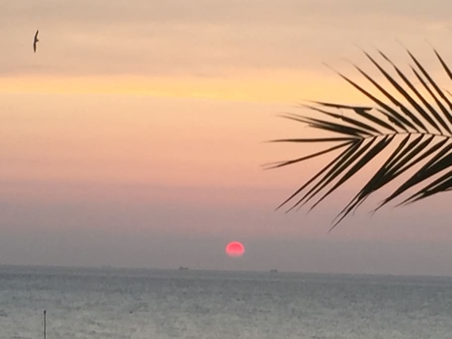 Turners sunset