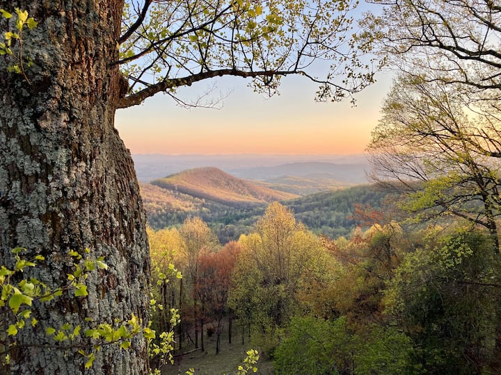 Roaring Gap locations de vacances et logements Caroline du Nord
