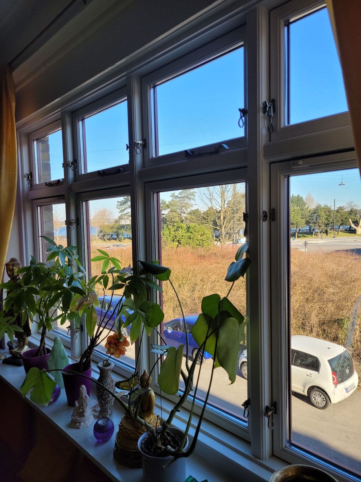 Natural light filters through the row of charming windows, providing a view of the serene outdoor landscape. Potted plants add a touch of greenery to the windowsill, enhancing the space with vibrancy. The clear sky and distant trees are visible beyond the residential area.