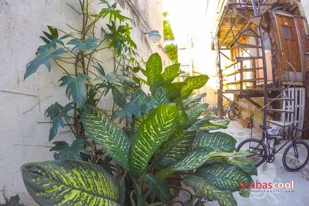 Top 20 playa del carmen vacation cabin rentals and cottage rentals ... Cabaña Ideas Mexicanas