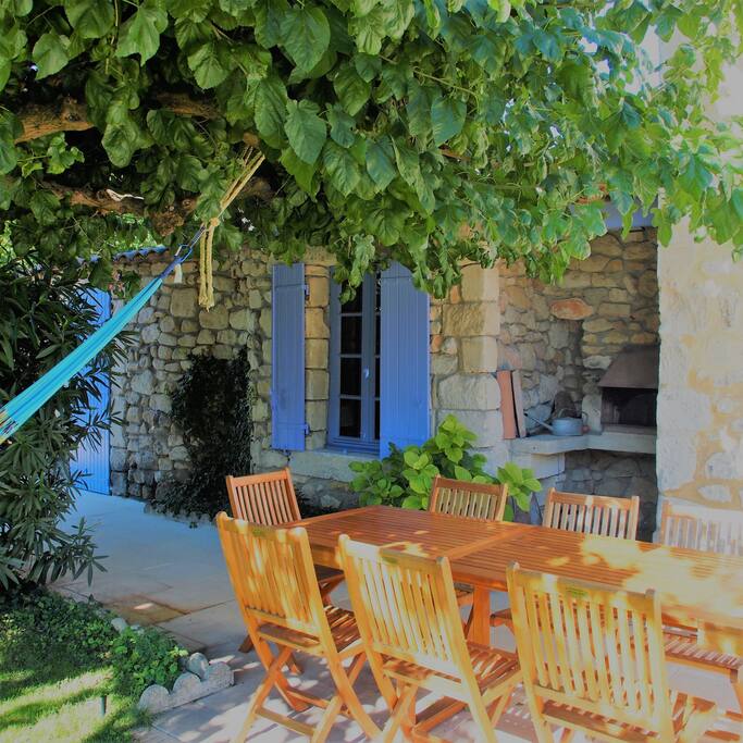 déjeuner sous le grand platane-murier: mieux qu'un parasol!