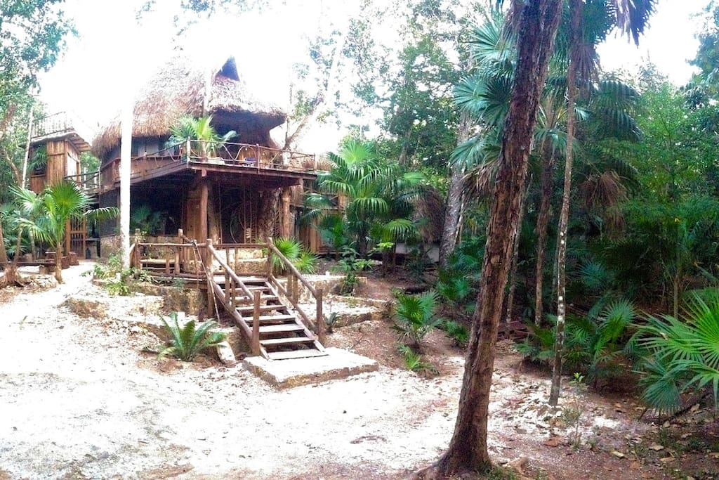Una casa de la selva