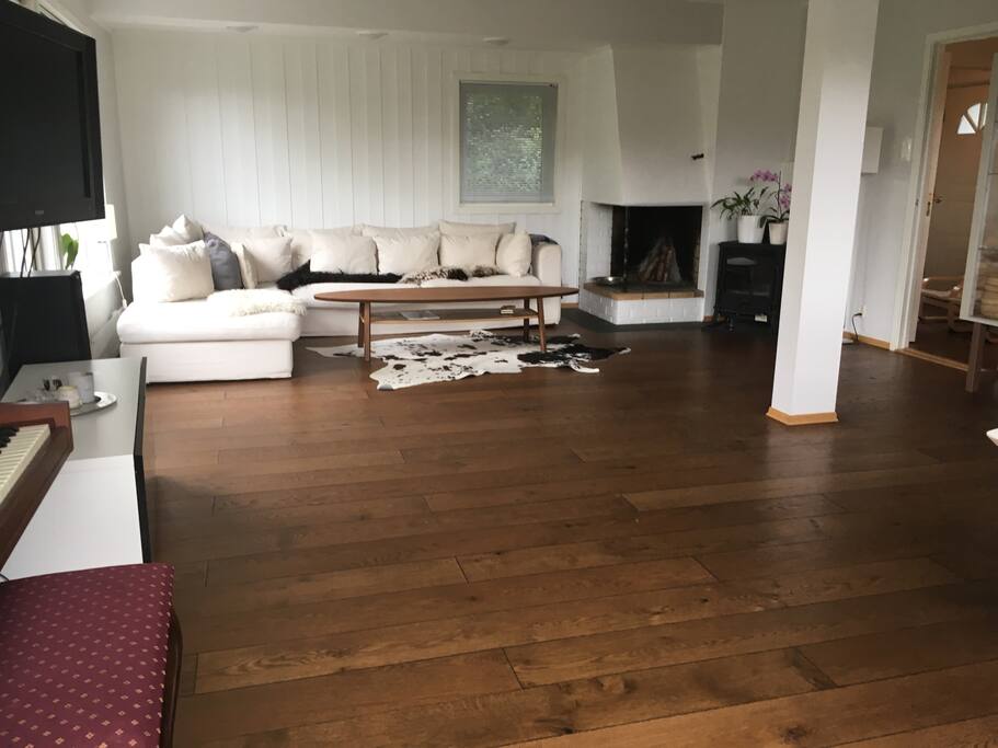 Large living room area