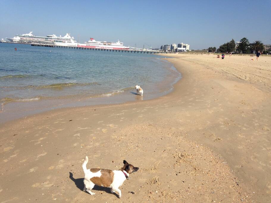 Albert Park Beach