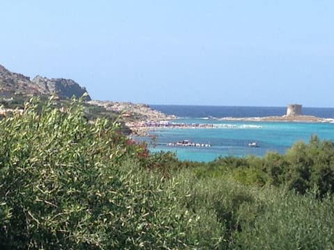 Casa Del Patio - Stintino - Sardinia