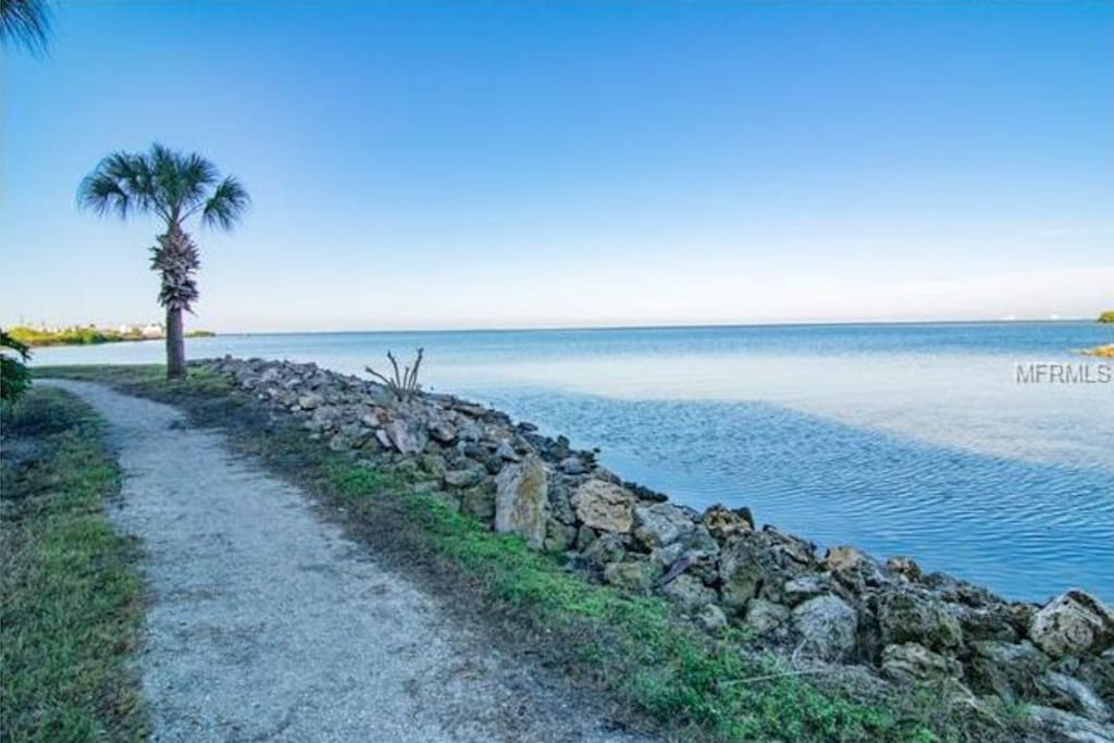 Beautiful walkways along Tampa Bay are part of condo nature trails
