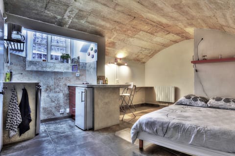 Successful Airbnb property: Come and discover Arles and its historic center in Arles