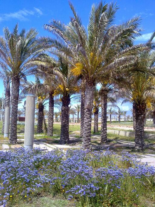 Beautiful boardwalk just a few minutes walking from the apartment - Precioso paseo marítimo a unos pocos minutos caminando desde el apartamento