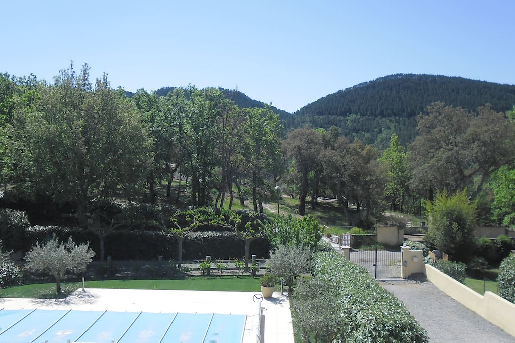 VUE DE LA CHAMBRE FORET ET MASSIF