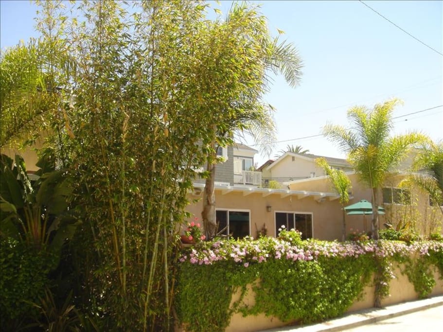 Gorgeous, Spacious Home steps from the beach and downtown shopping, dining ...