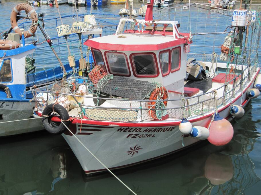 The harbour