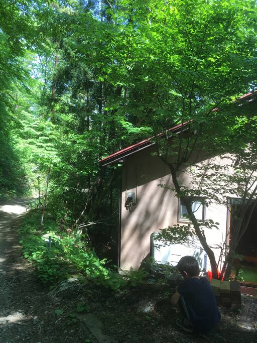 山の奥の別荘地です。