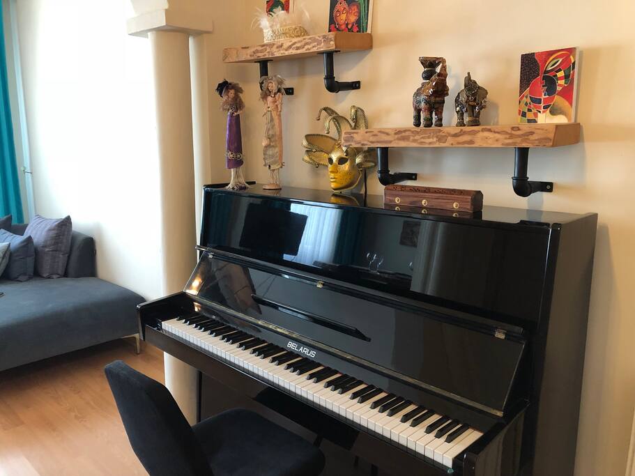 Living Room / Common Areas