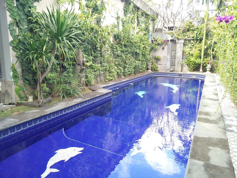 Shared swimming pool