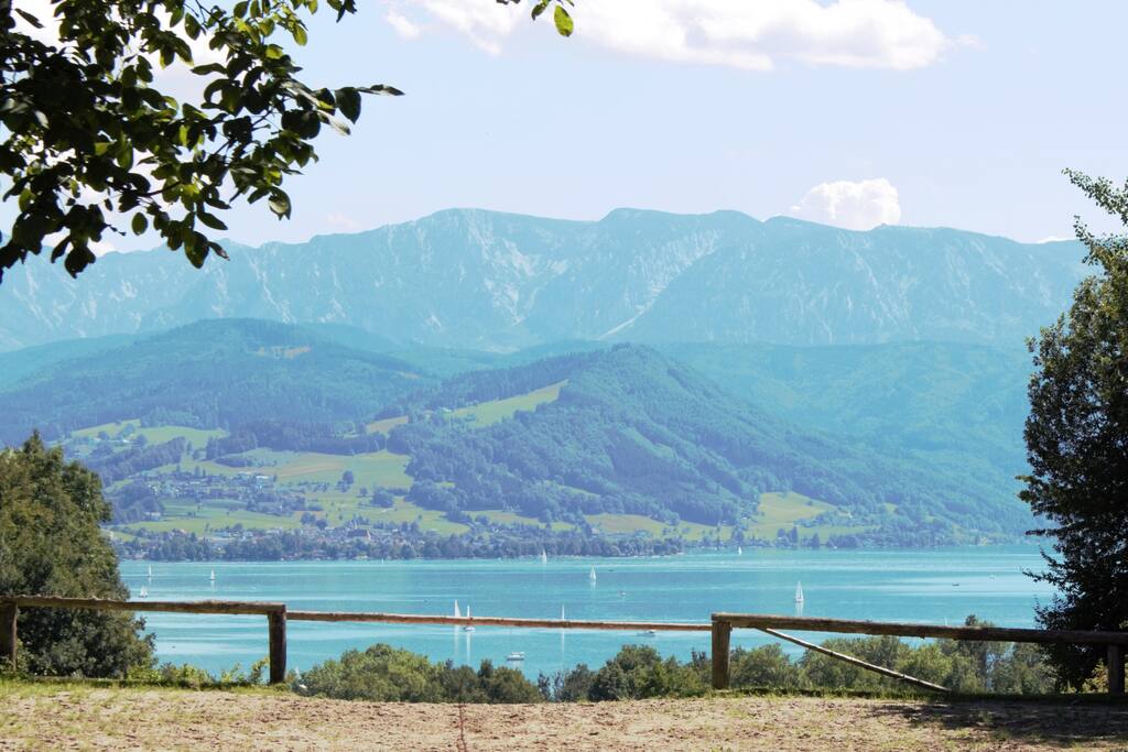 Blick über den Attersee