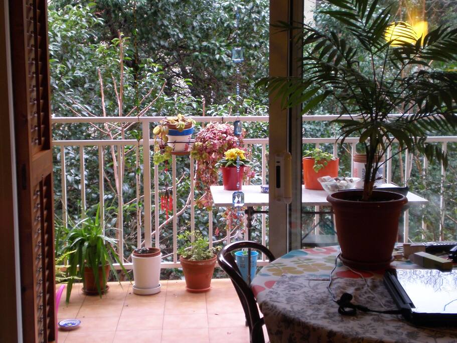 El comedor y la terraza.