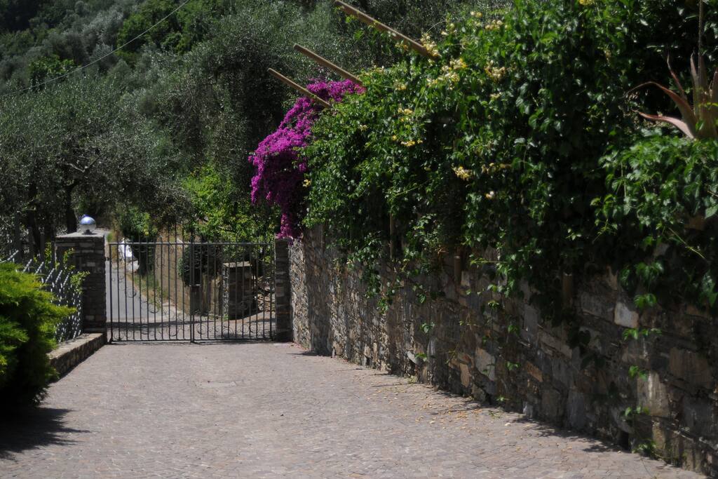 Il cancello d'ingresso
