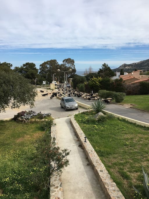 Vue terasse