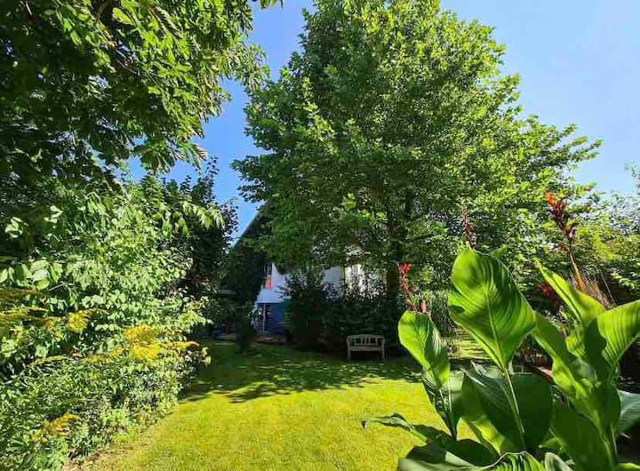 Studio in Snowshoe — primary photo