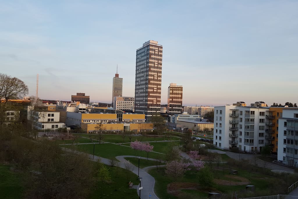View from Balcony