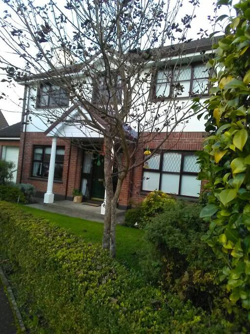 My Home