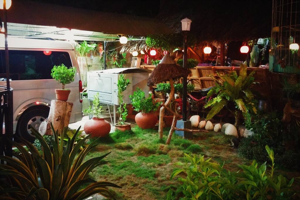 The garden at night