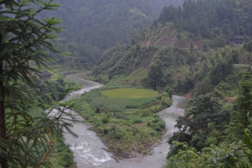 the river feeding the green rice padies