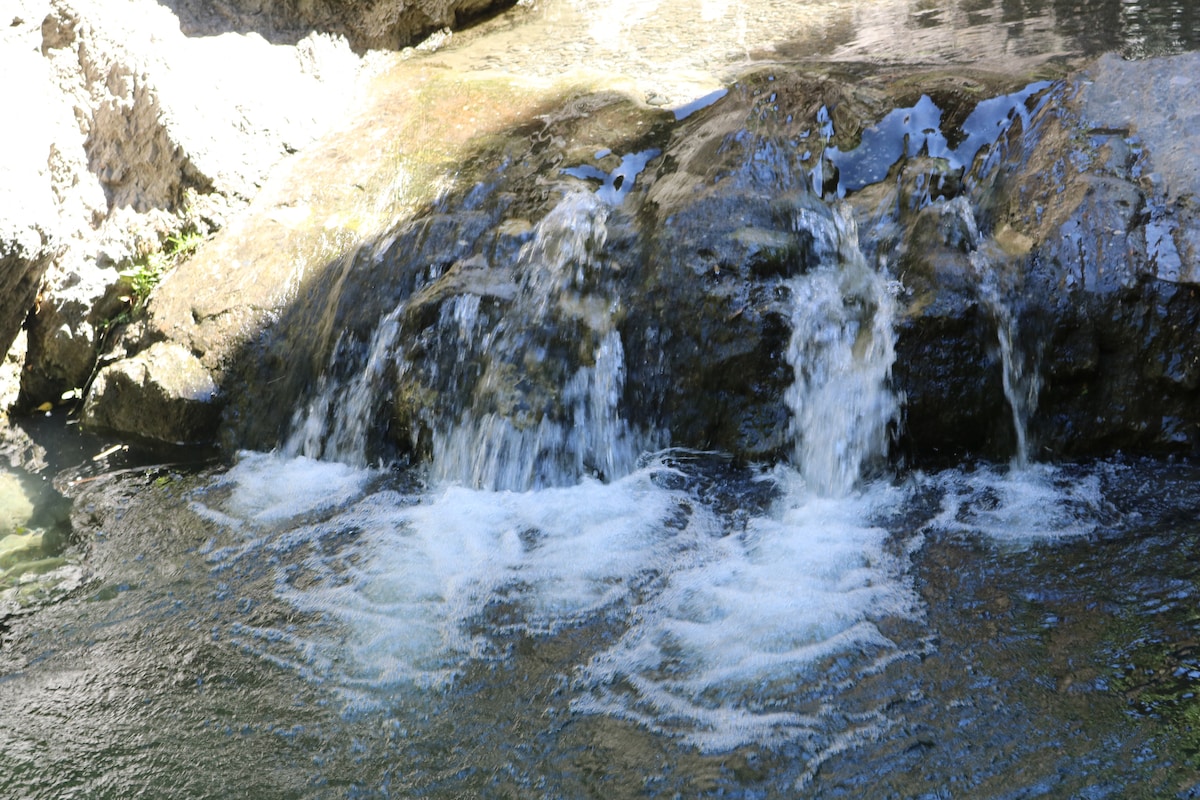 A gentle stream cascades over smooth rocks, creating small waterfalls that contribute to the serene ambiance of the area. The clear water flows over the surface, reflecting the surrounding natural elements in a peaceful setting.