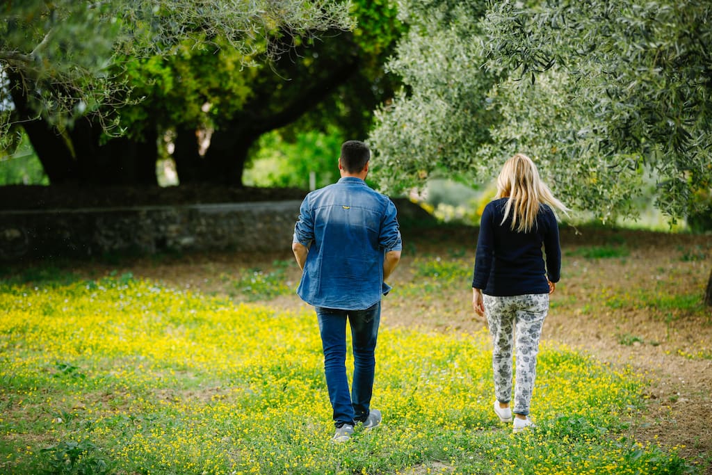 Walking paths in the fields