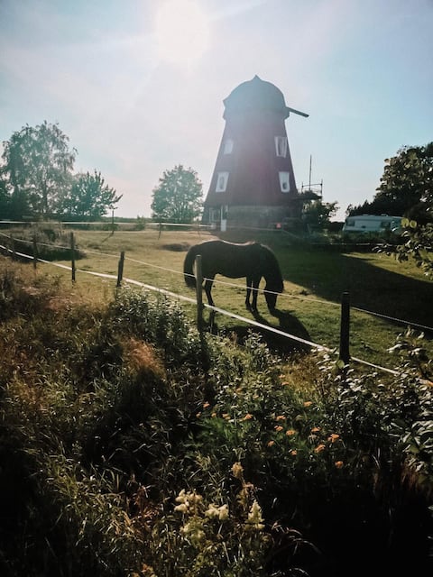 Top Airbnb: KvarneniSotared in Falkenberg