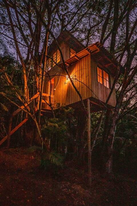 BenjaFicus Treehouse surrounded by nature