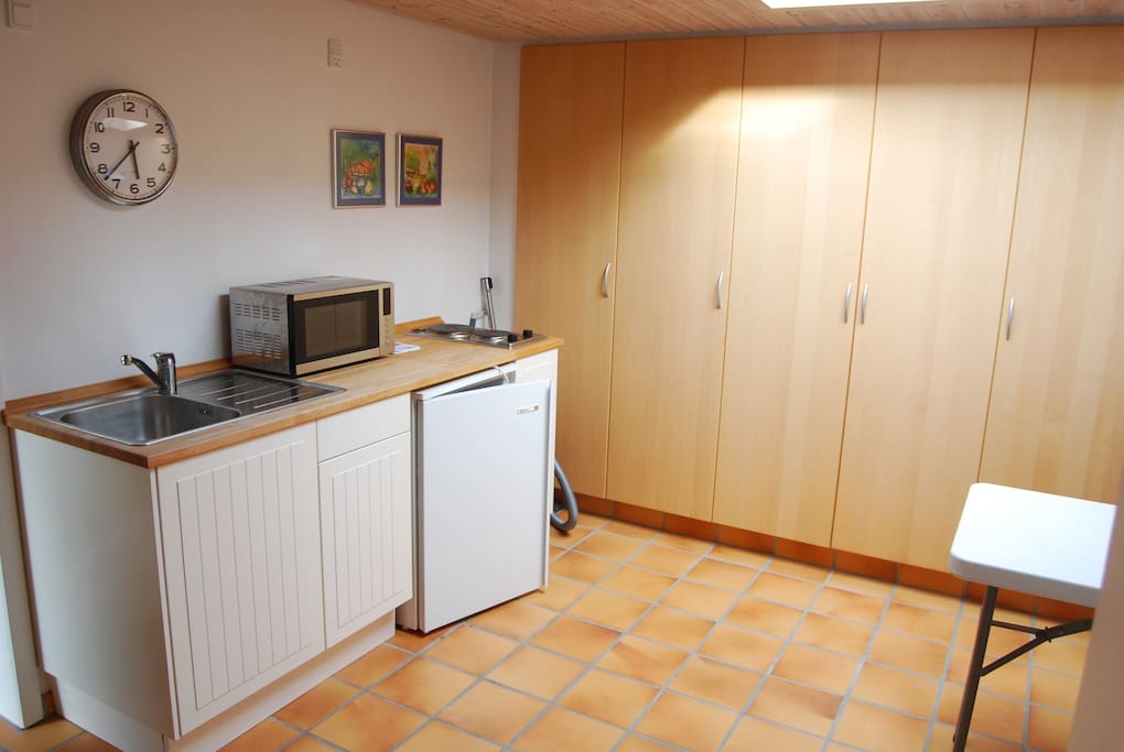The room has access to a kitchen with a microwave, fridge, sink and stove.