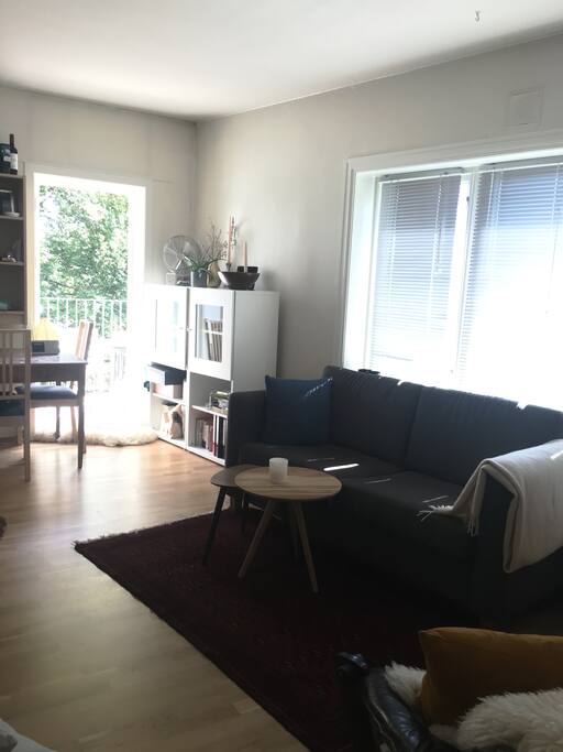 Sovesofa som trekkes ut. Plass til to. Sleeping couch to pull out, fits two people.