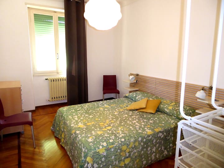 夫妇相机（ The ）