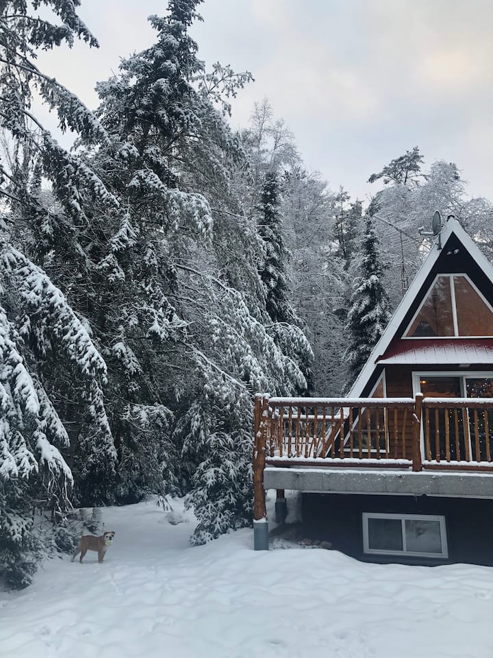 Highland Grove locations de vacances et logements Ontario, Canada