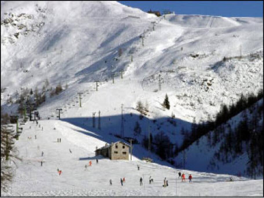Piste da sci