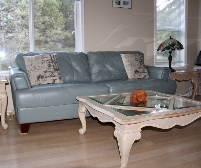 Comfortable living room with fireplace