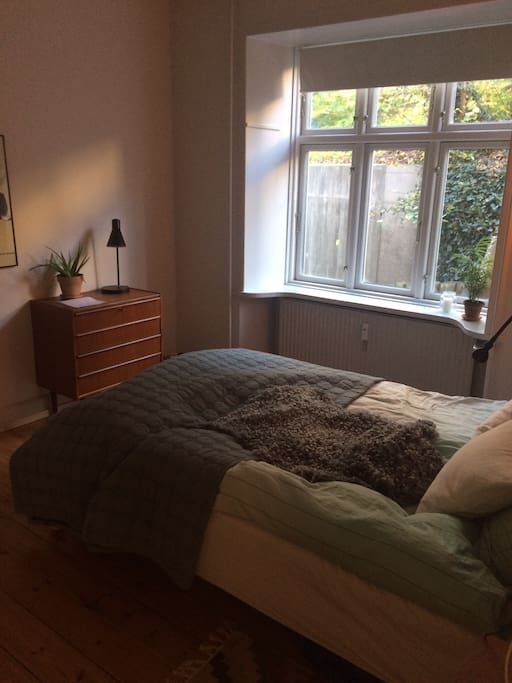 Bed room