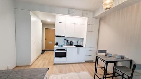 Popular Airbnb listing: Stylish downtown studio apartment in Kyttälä A