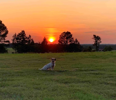 Rustic Barndominium  near Canton 1st Monday