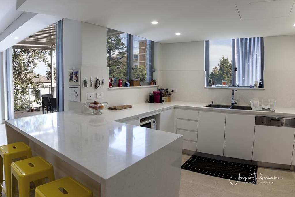Modern Kitchen