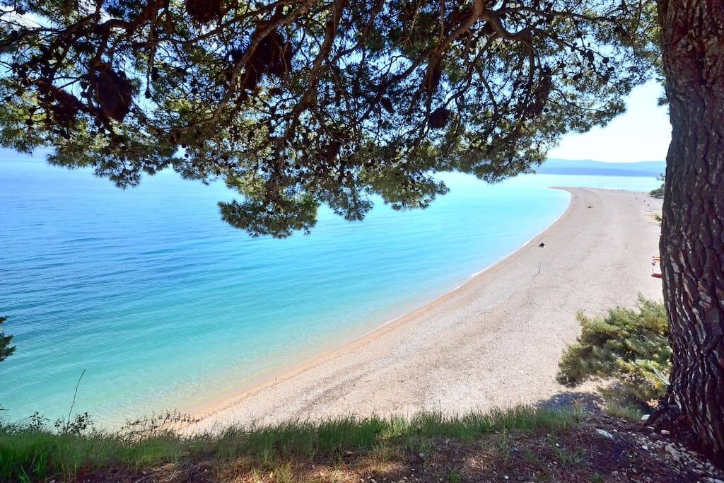 Pogled