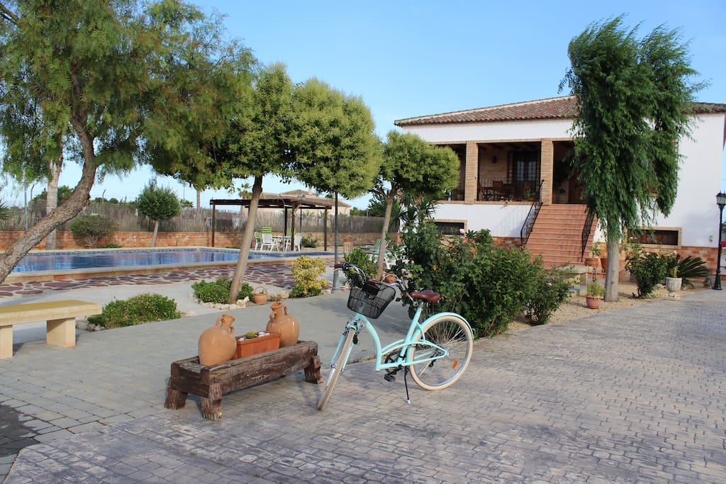 terraza con jardín y fuente decorativa