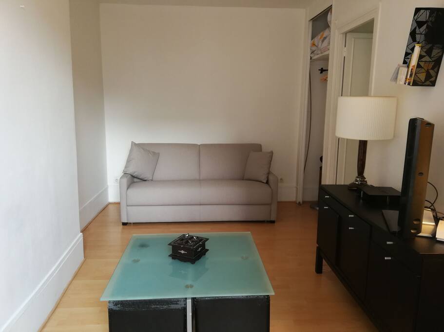 Quiet, cosy, sunny confortable living room with TV wifi desk
